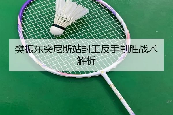 fan-zhen-dong-tu-ni-si-zhan-feng-wang-fan-shou-zhi-sheng-zhan-shu-jie-xi-2-168.jpg