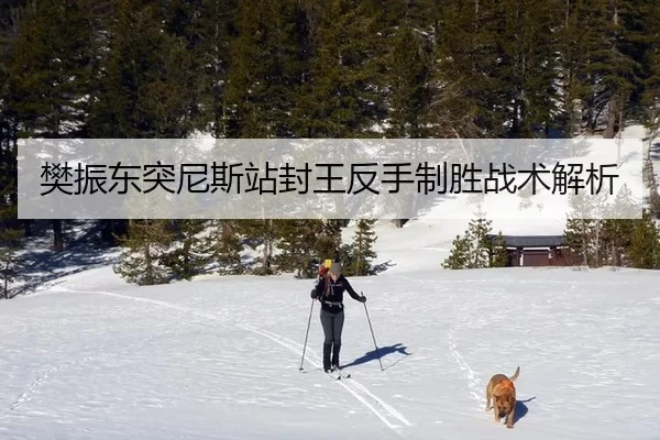 樊振东突尼斯站封王反手制胜战术解析